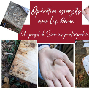 opération escargots